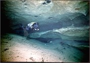 VortexSprings5_68