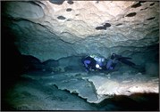 VortexSprings5_71