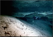VortexSprings5_8