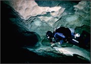 VortexSprings5_80
