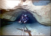 VortexSprings5_87