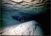 VortexSprings5_89