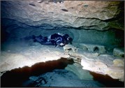 VortexSprings5_93