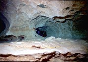 VortexSprings5_96