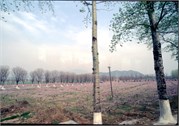 BeijingETC2_3
