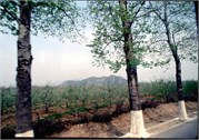 BeijingETC2_4