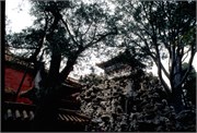 ForbiddenCity_12