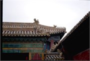 ChinaRoofs_100