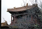 ChinaRoofs_102