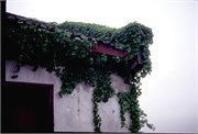 ChinaRoofs_11