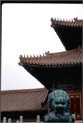 ChinaRoofs_119