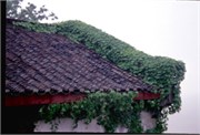 ChinaRoofs_15