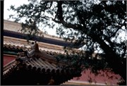 ChinaRoofs_64