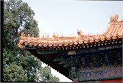 ChinaRoofs_74
