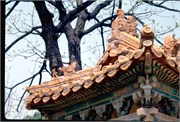 ChinaRoofs_76
