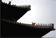 ChinaRoofs_88