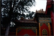 ChinaRoofs_95