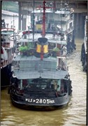 Yangtze1_6