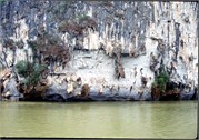 LiRiver2_6