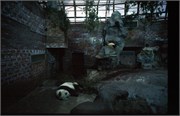 a8_1999BestChina