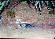 LionelLayout1_4
