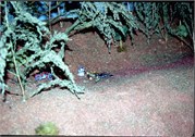 LionelLayout1_5