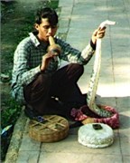9_India2000