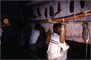 15_India2000