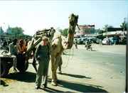 7_IndiaGroup