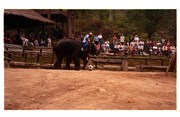 10_ChaingMai