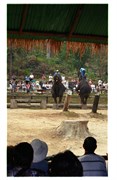 11_ChaingMai