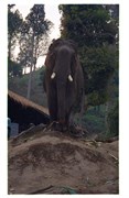6_ChaingMai