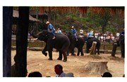 7_ChaingMai