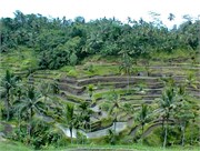 101_LindaPix