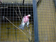112_LindaPix