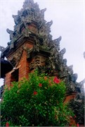 7_SuePix