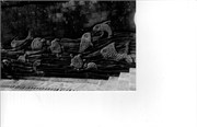 cannonscan0029
