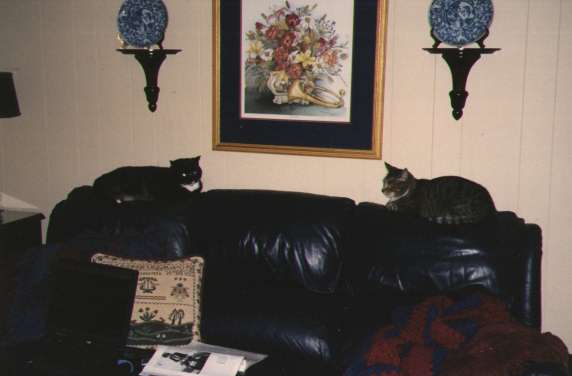 Miss Kitty and Molly