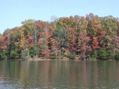 Lake Bowen