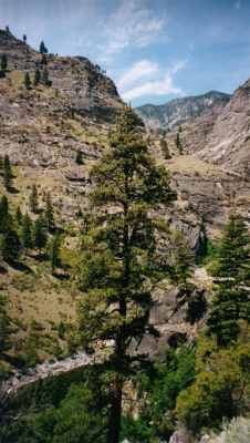 June 2001 Photo
