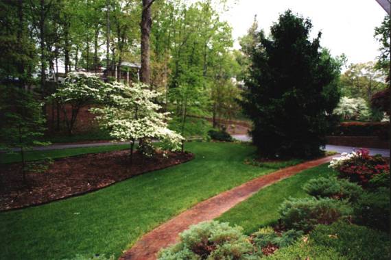 Our Yard in Spartanburg,SC 4/15/2001