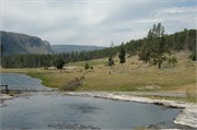 Yellowstone_2008_1