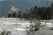 Yellowstone_2008_12