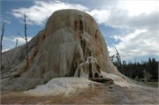 Yellowstone_2008_13