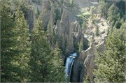 Yellowstone_2008_18