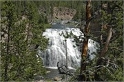 Yellowstone_2008_2