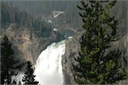 Yellowstone_2008_22