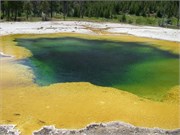 Yellowstone_2008_37