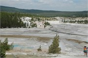 Yellowstone_2008_5