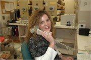 PWH_2008_11
